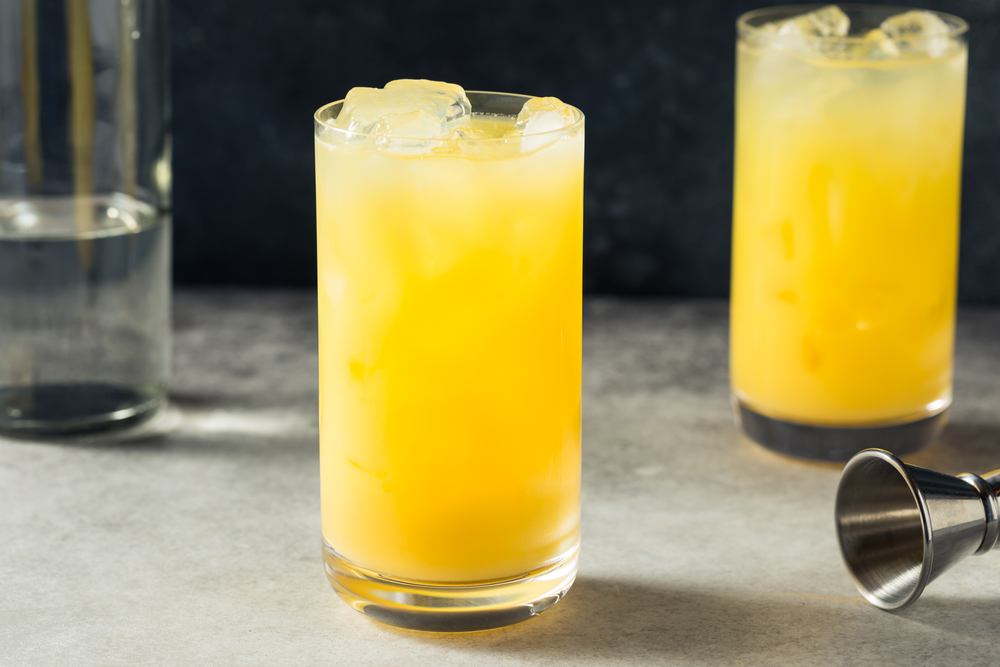 Fresh Gin and Orange Juice Cocktails You Have to Try