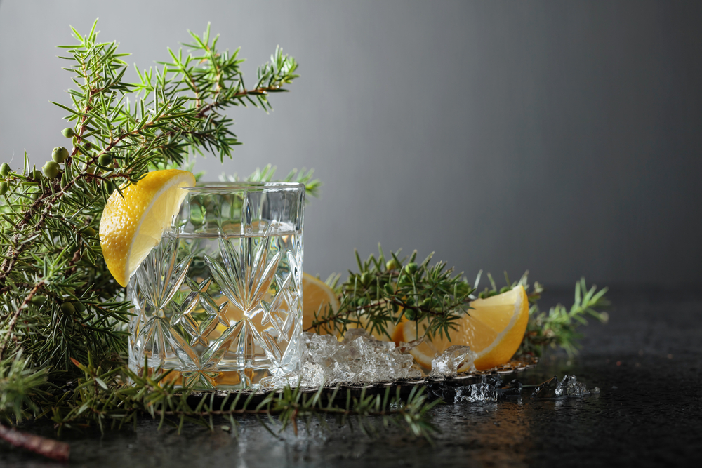10 Gin and Tonic Recipes That'll Be the Life of Your Party